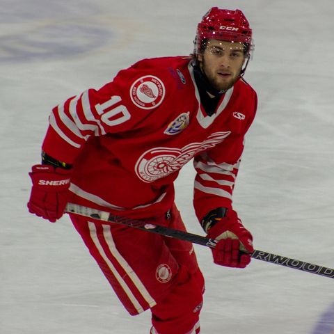 Red Wings Split Weekend Home and Home with Melville