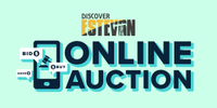 DiscoverEstevan Online Auction Bidding