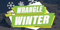 Wrangle Winter