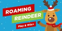 Roaming Reindeer