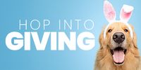 Hop into Giving