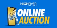 HRO Online Auction Fall