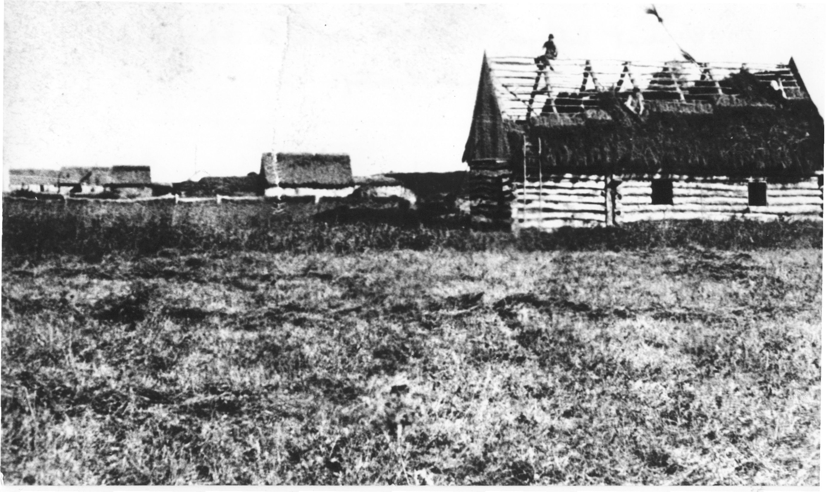 Putting on thatched roof on school in Blumenort Manitoba 1870s