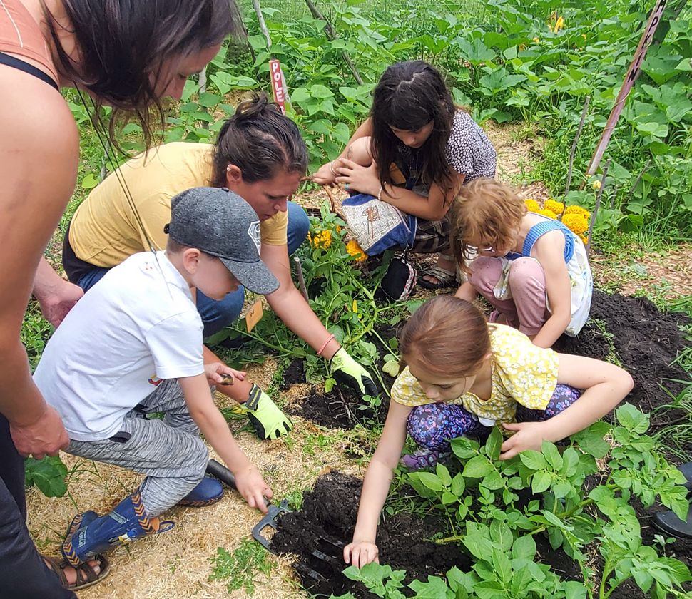 Land Off Learning Centre offers land-based learning opportunities for families in the ...