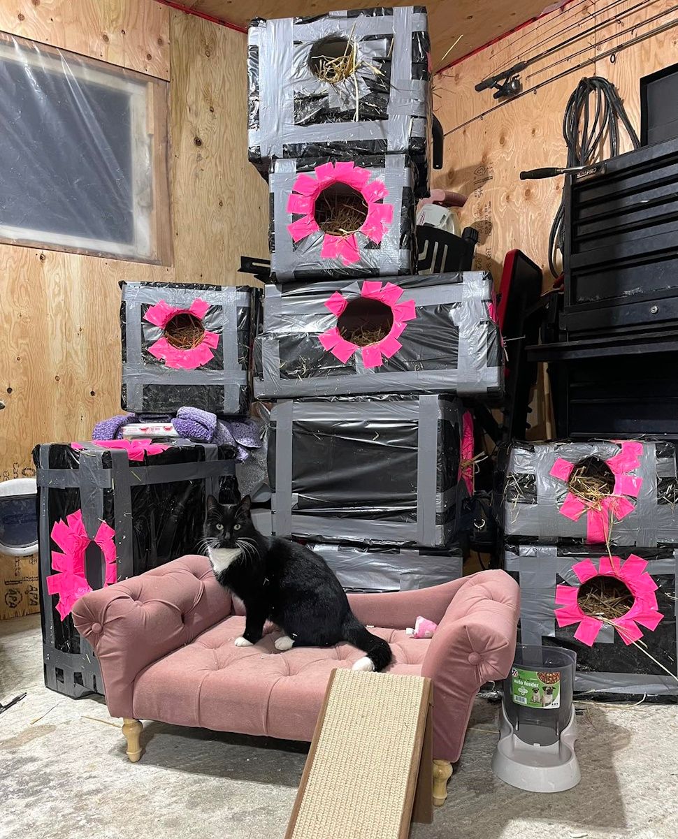 milk crate cat condo
