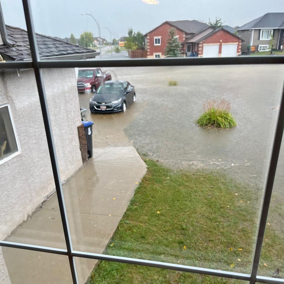 Clearspring Greens, Steinbach Tuesday morning