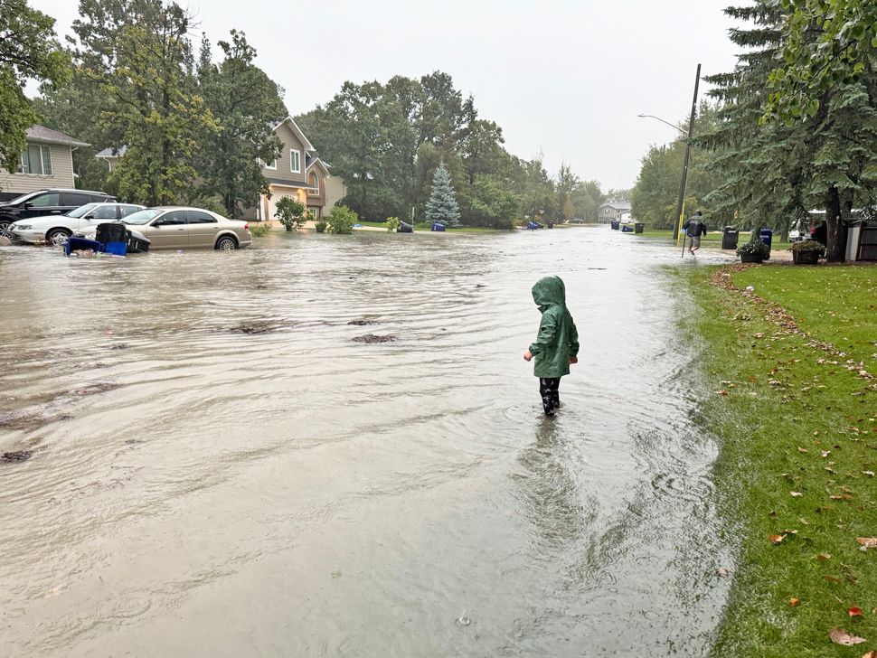 College Ave, Kleefeld - Tuesday Morning (Ashton Kitcher)