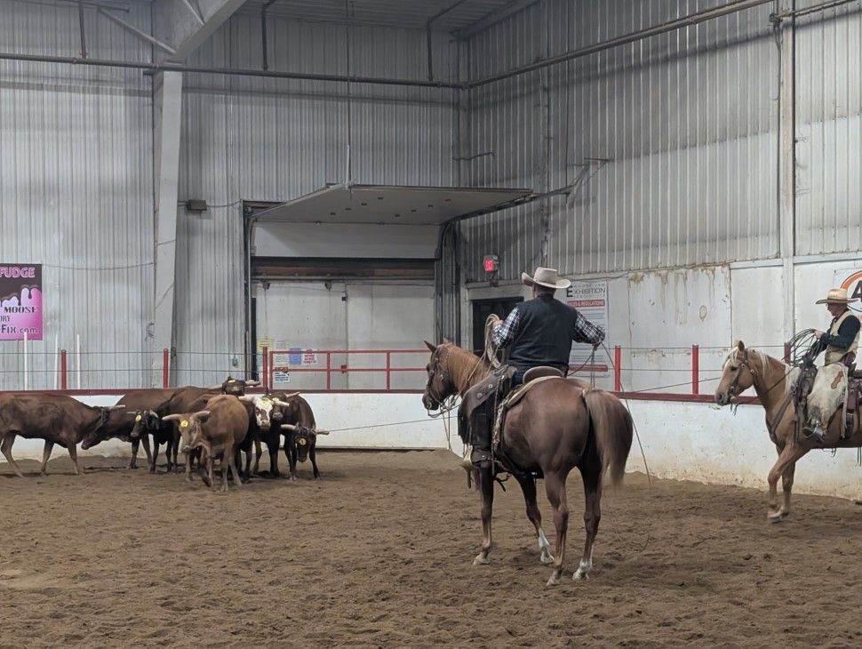 Ranch roping nationals showcase traditional cowboy skills in quiet ...