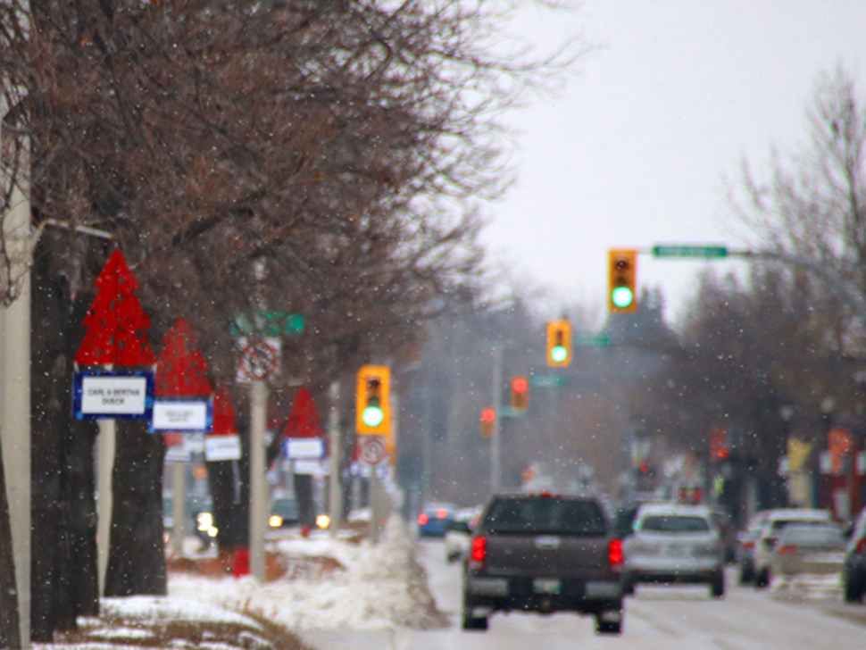 little red trees hang from light standards