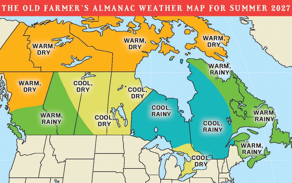 Old Farmer's Almanac suggests winter could lack bite this year in ...