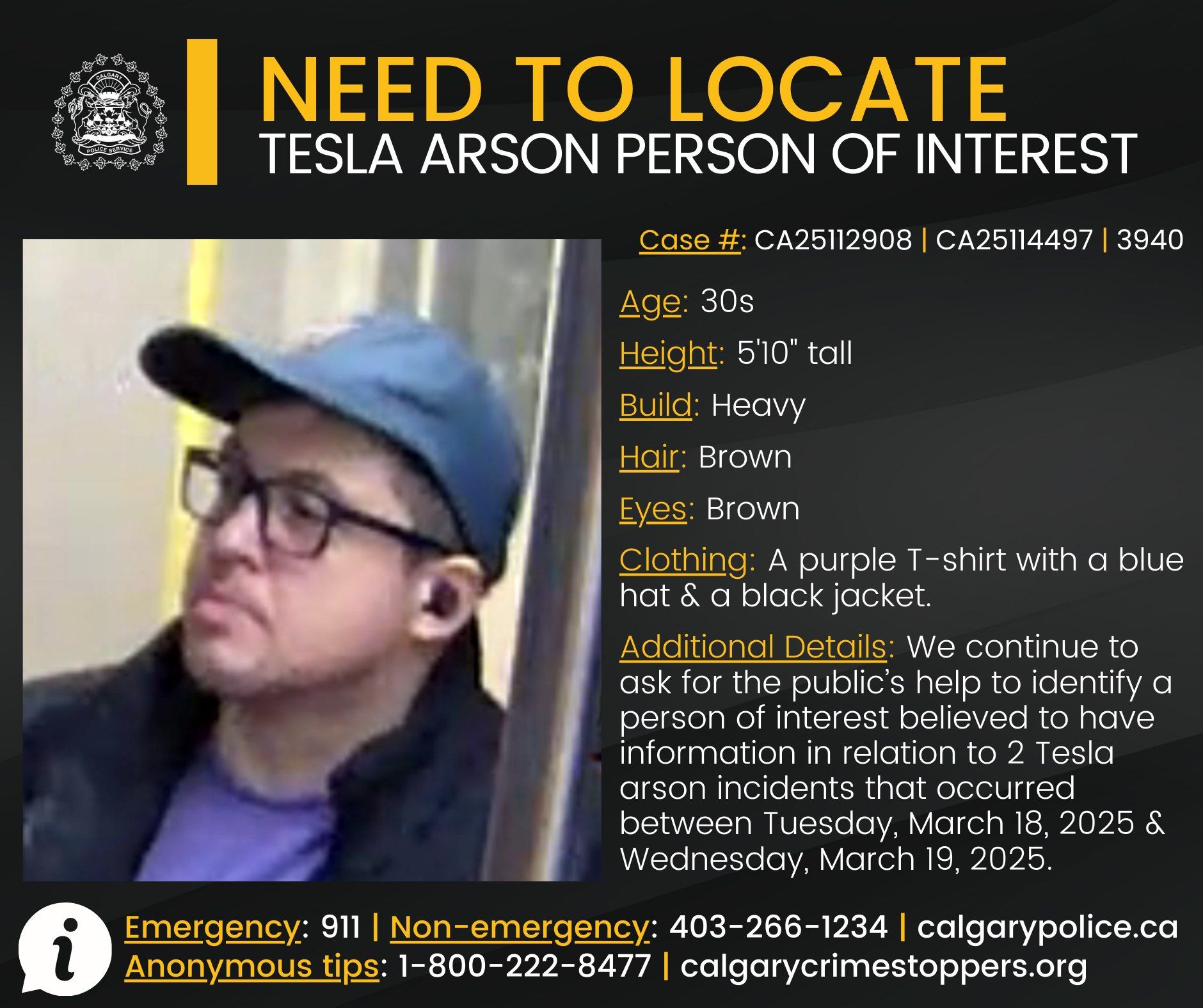 Calgary police seek person of interest after suspected Tesla arsons in ...