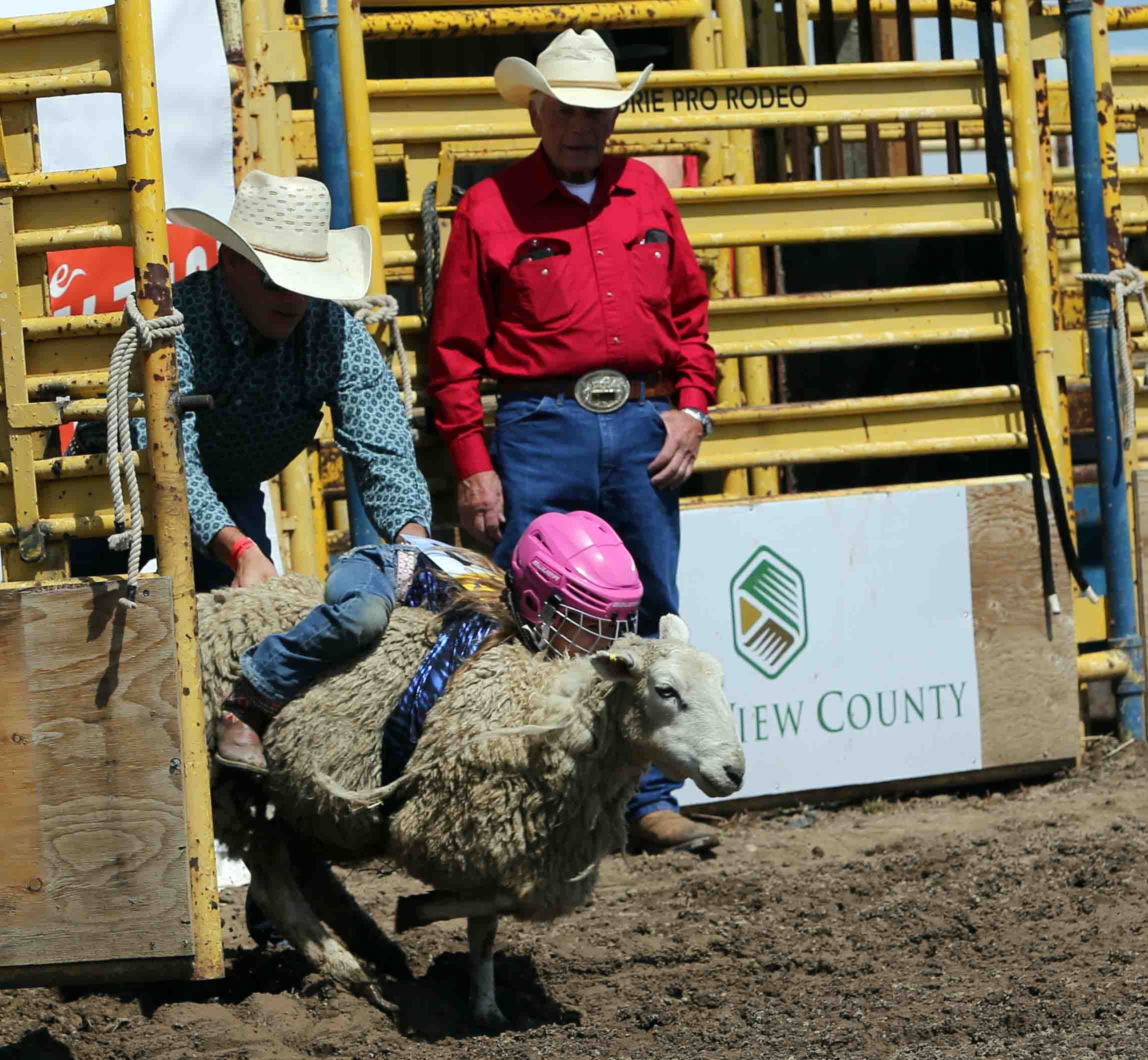 Gallery: Airdrie Pro Rodeo bucks towards finish on Canada Day ...
