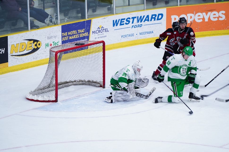 Terriers extend win streak to seven and teddy's rain down ...
