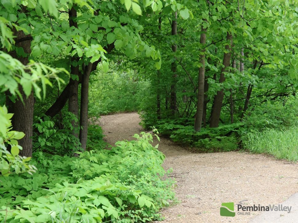 Carman community pathway set for refresh - PembinaValleyOnline.com ...