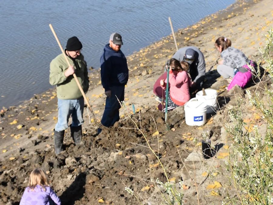 Ancient bison discovery along Assiniboine River draws museum attention ...