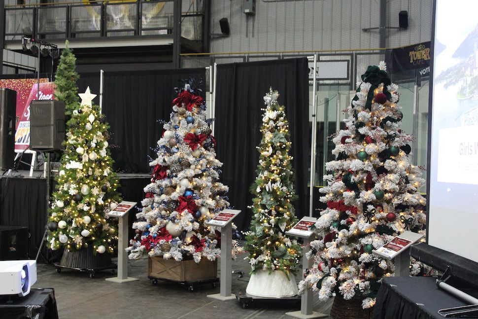 Festival of Trees