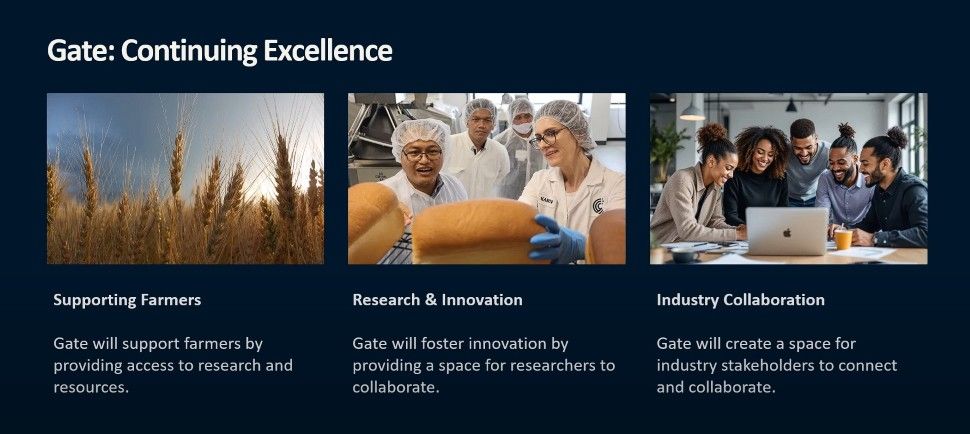 Picture of wheat, bakers and people gathered around a laptop symbolizing plans to support farmers, research and innovation, and industry collaboration