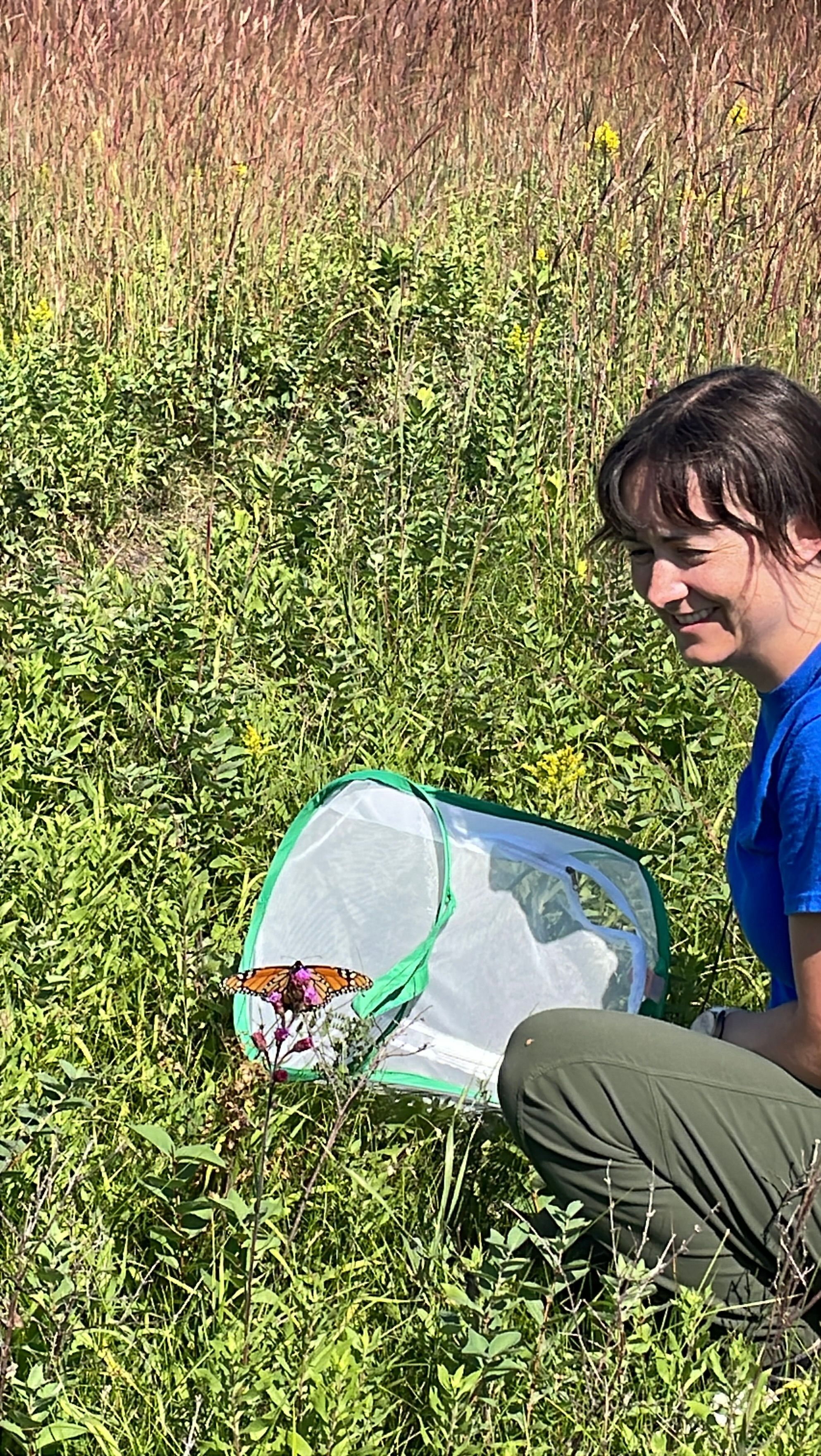 BUTTERFLY BEING RELEASED 