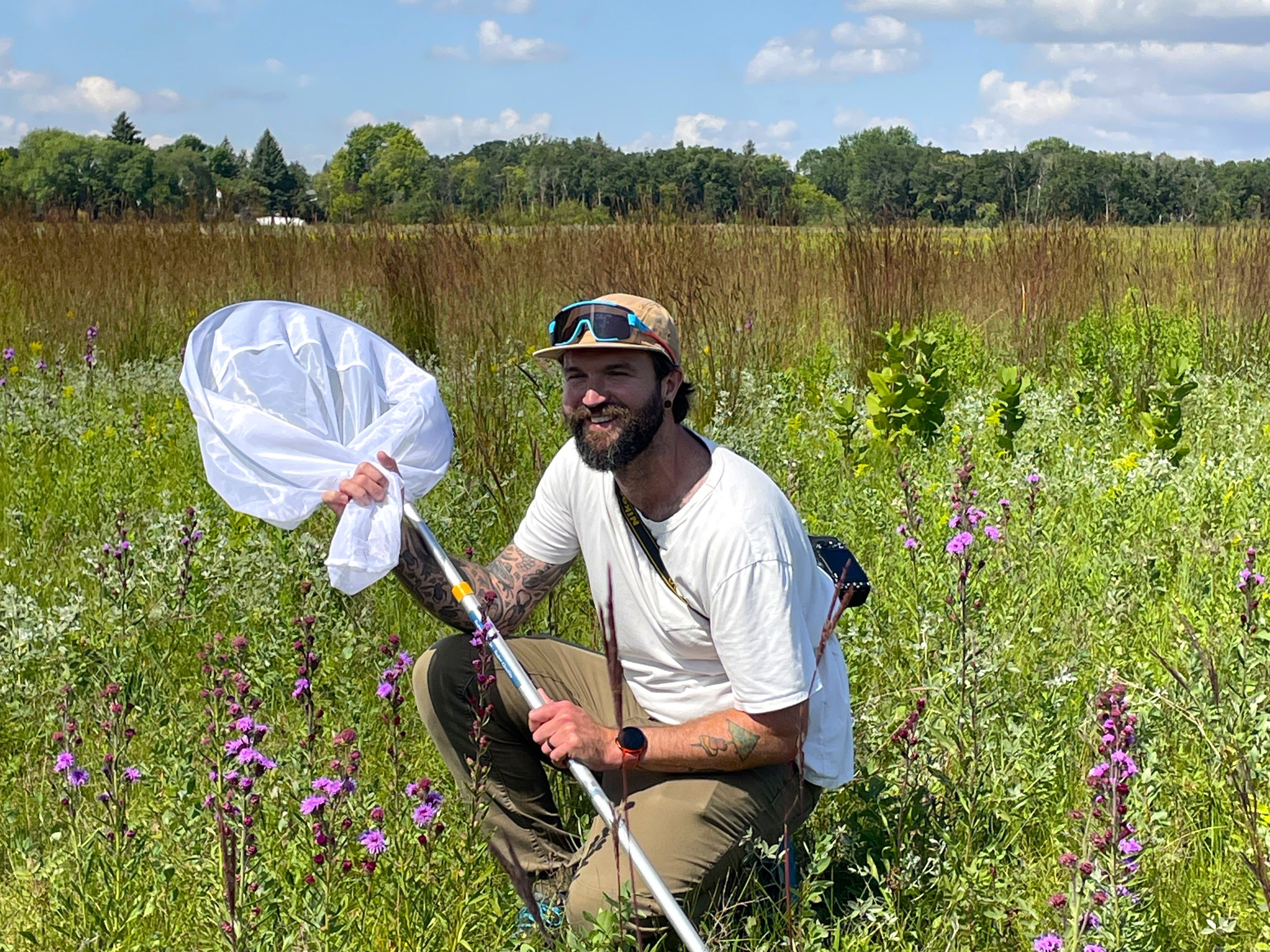 catching the monarchs for trackers