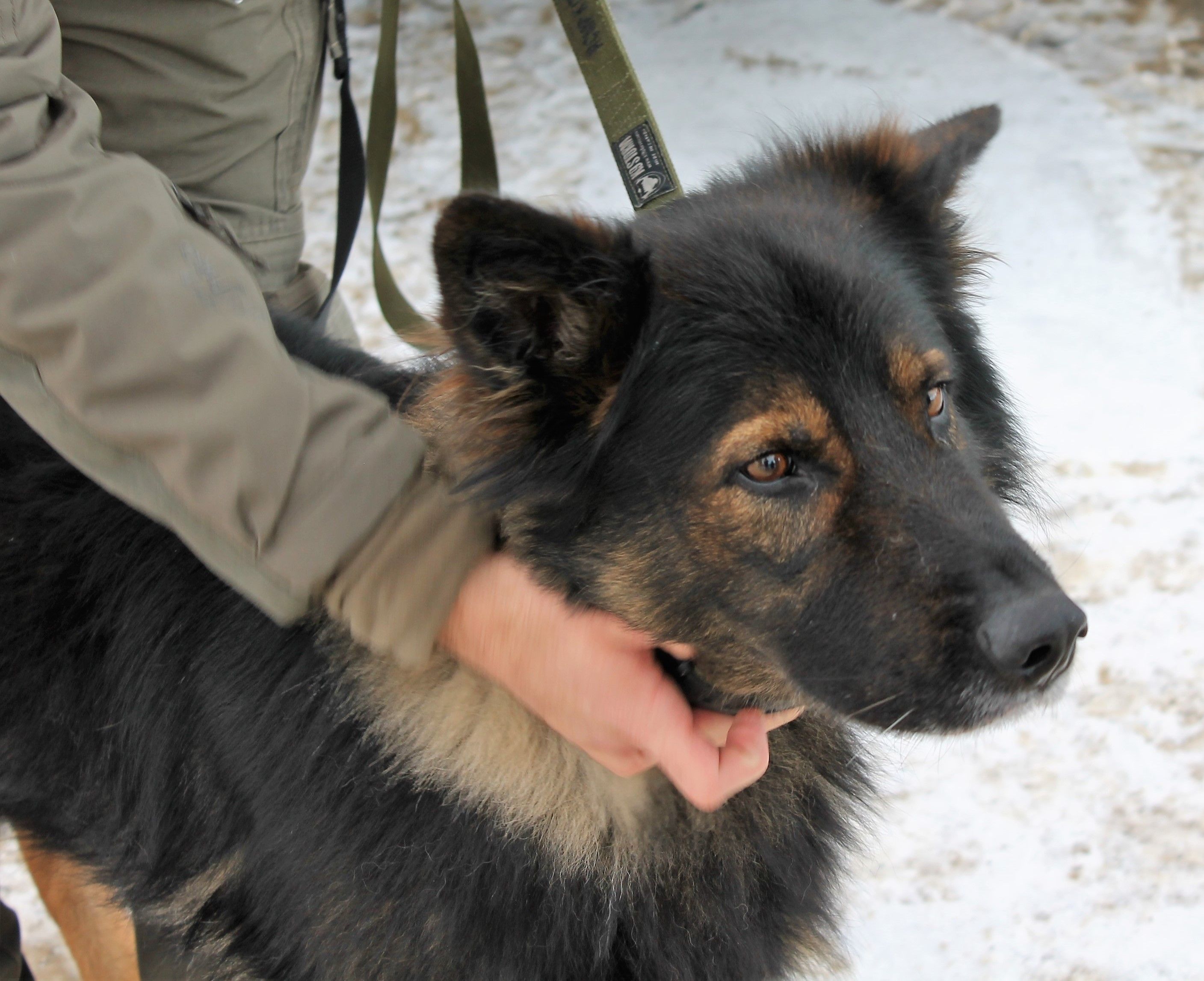Meet the newest members of The RCMP - StrathmoreNow.com - Local news ...