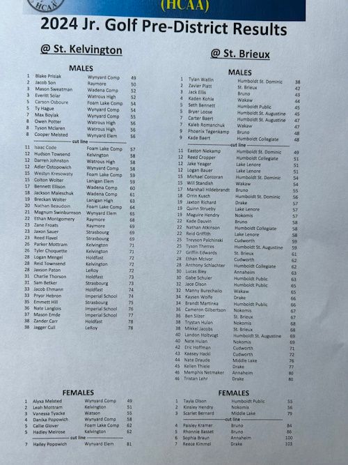 HCAA Jr. Golf District Championships results