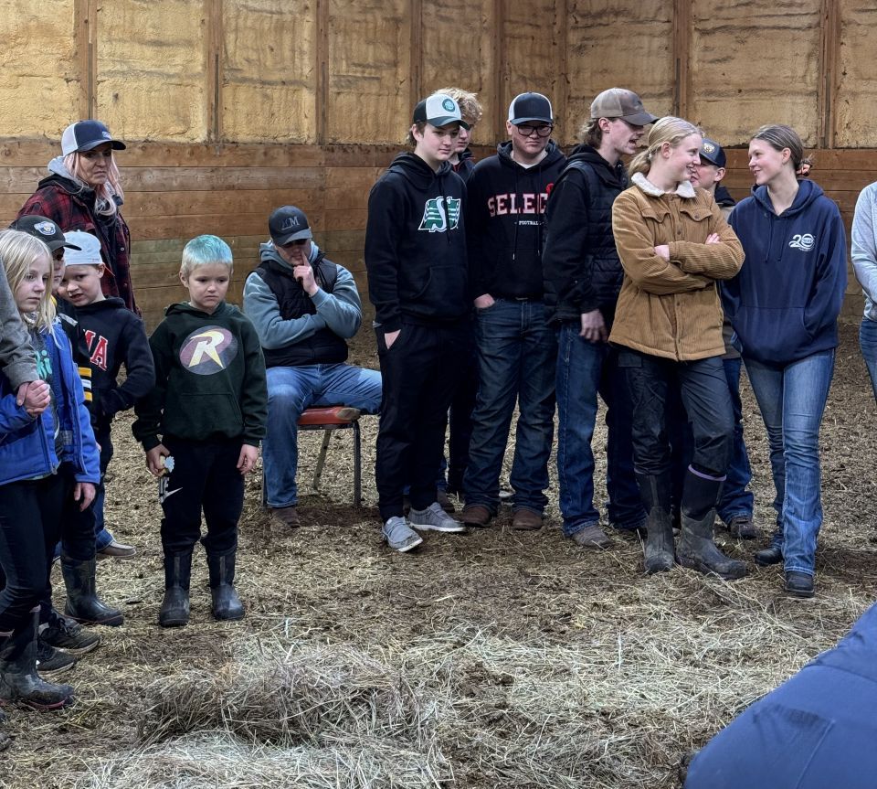 Beef Club students learn firsthand about cow anatomy - DiscoverMooseJaw ...