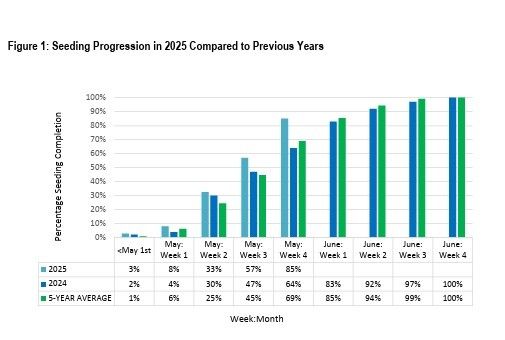 Manitoba Crop Report update - seeding is 85 per cent complete ...