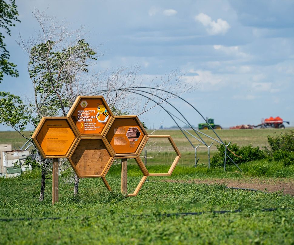 Prairie Bee Meadery preserving history with honey - DiscoverMooseJaw ...