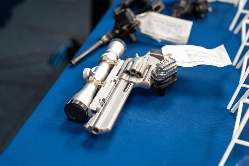 Project DOLOR guns