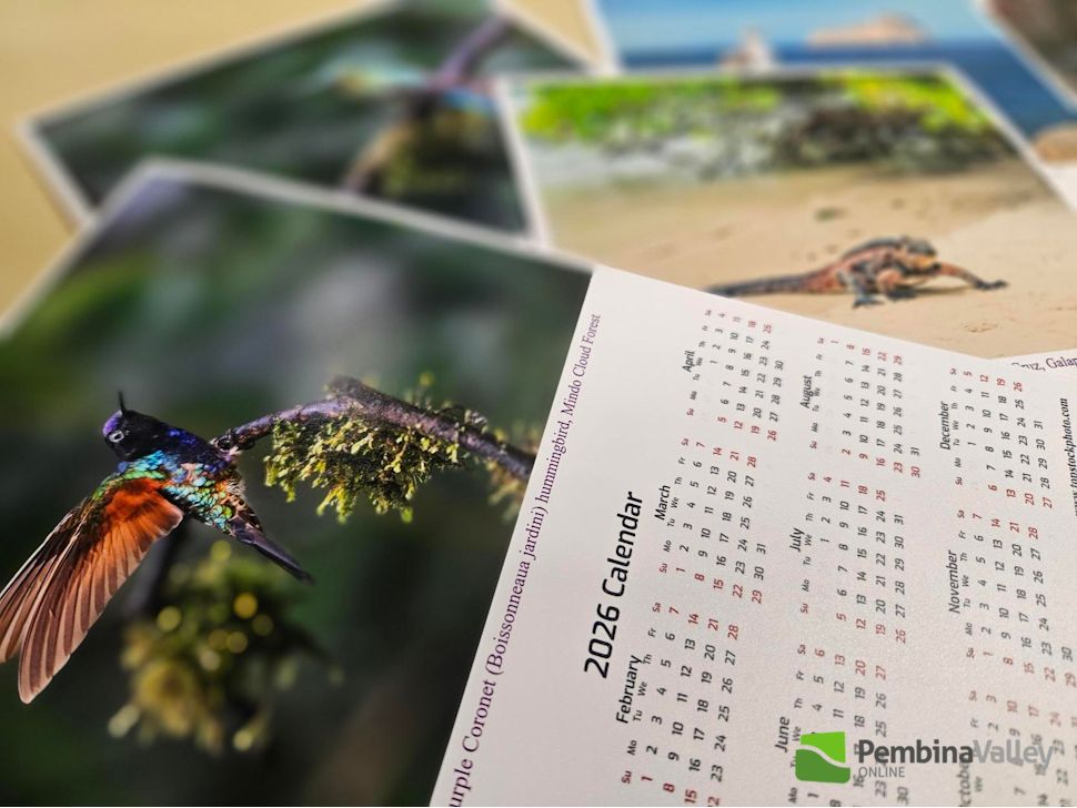 2026 wildlife calendar