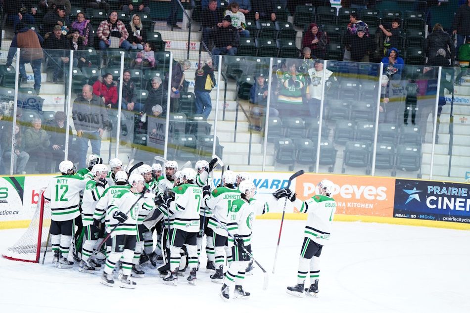 Terriers tie up series with win at home - PortageOnline.com - Local ...