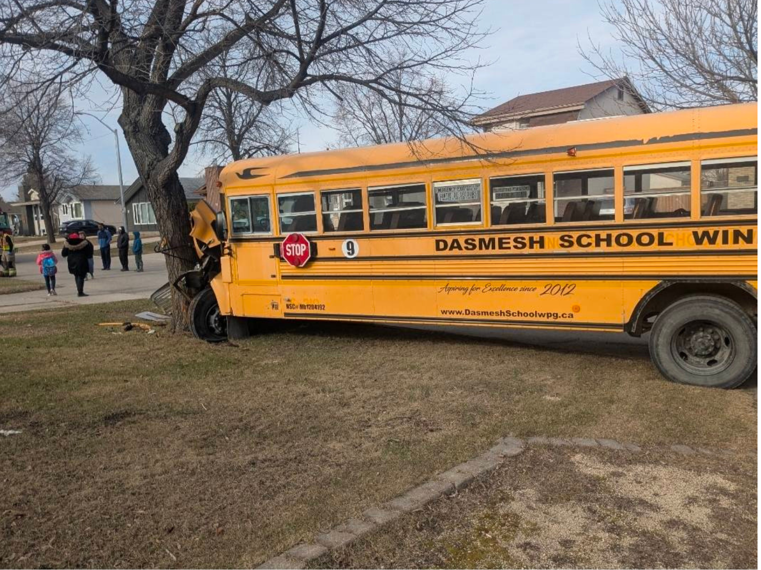 No serious injuries after school bus intentionally driven into tree as ...