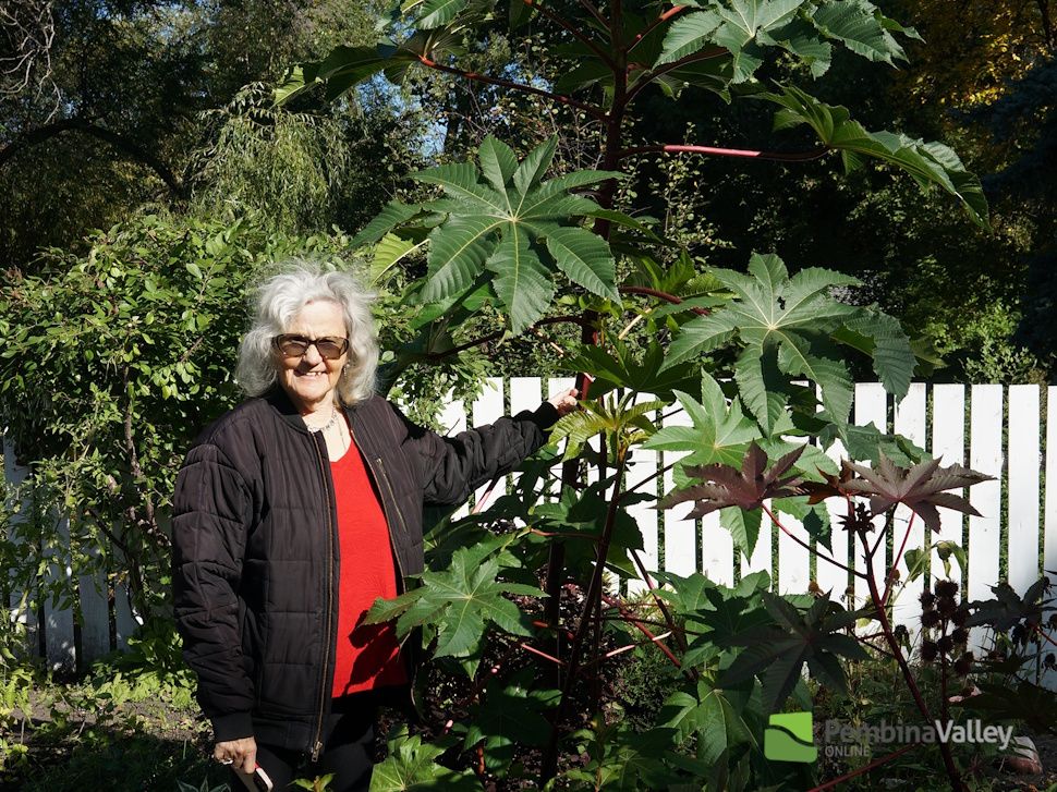 norma epp