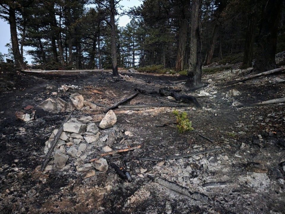 Fire crews douse Banff wildfire sparked by illegal campfire ...
