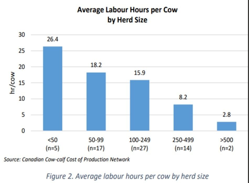 How much time does it really take to run a cow-calf operation ...