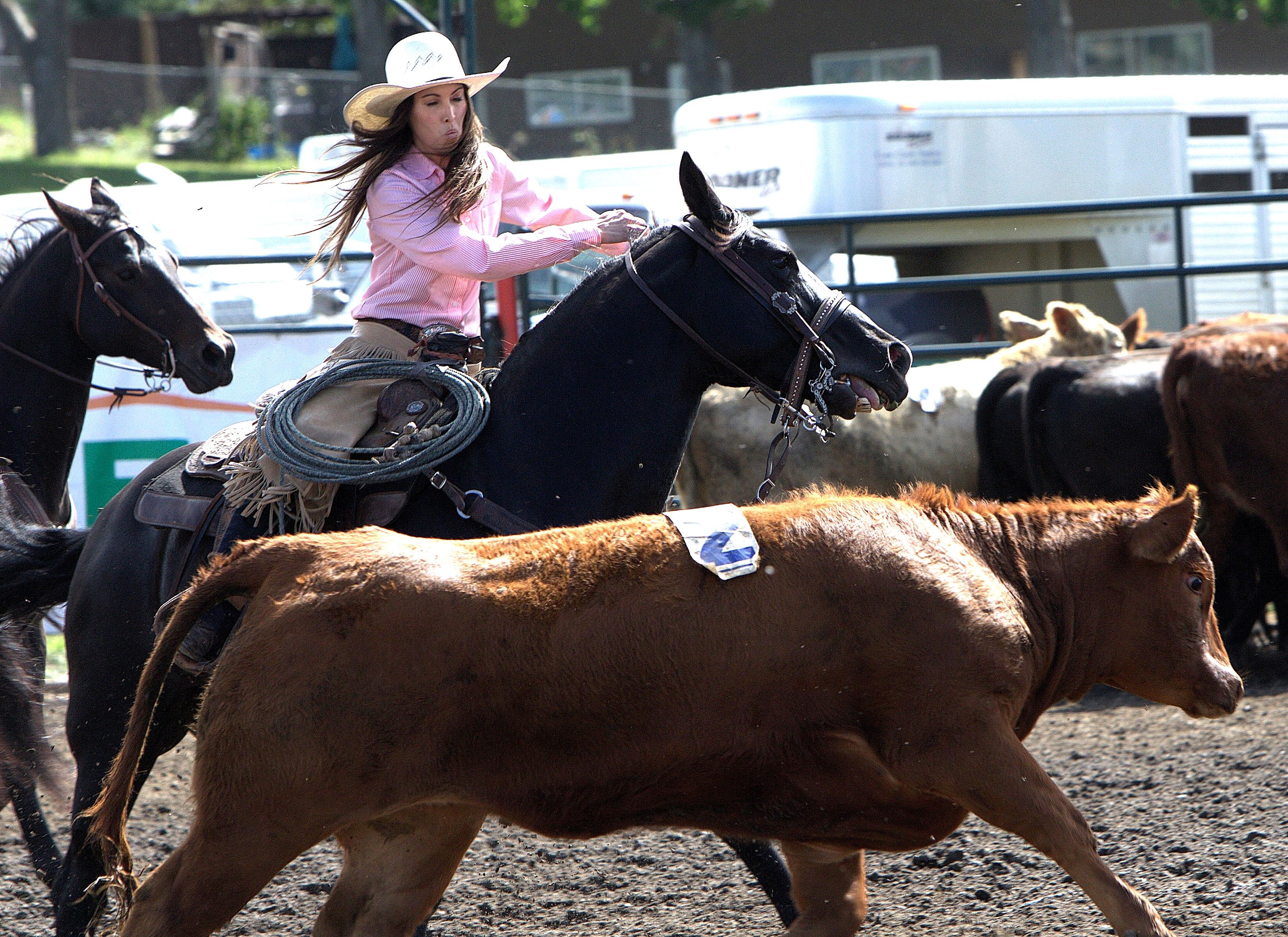 Lions saluting community with free rodeo weekend kickoff on Aug. 29 ...