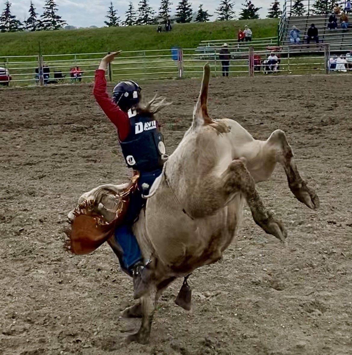 Local teen girl is bucking the norm in the bull-riding world ...