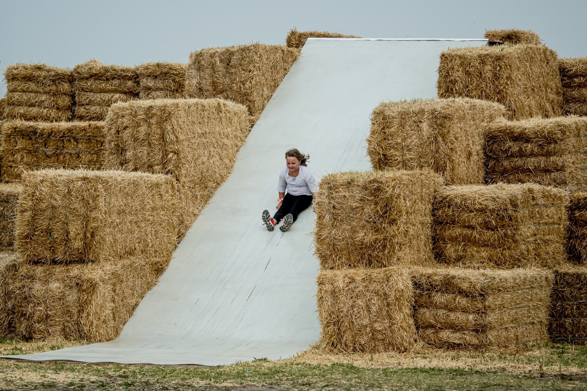 King Korn Maze adds building and makes community donation ...