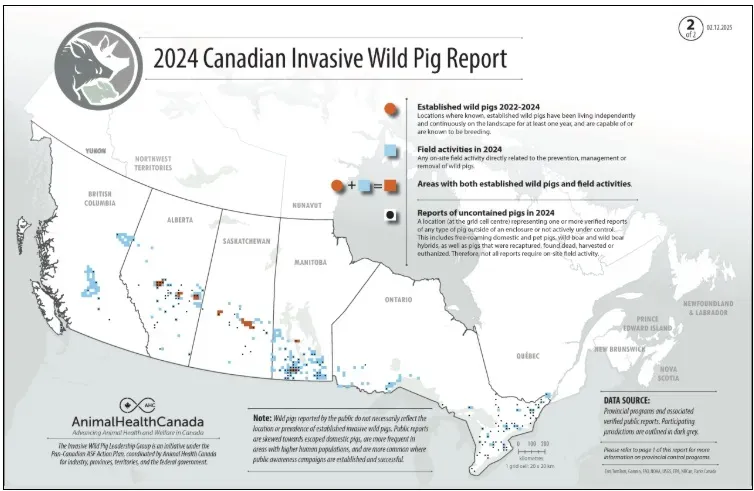 Wild Pig Summit focuses on disease preparedness and eradication ...